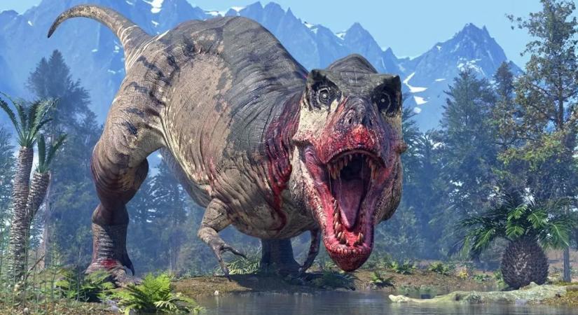 Gyomorforgató dolog derült ki a T-Rexről, még a tudósok is meglepődtek