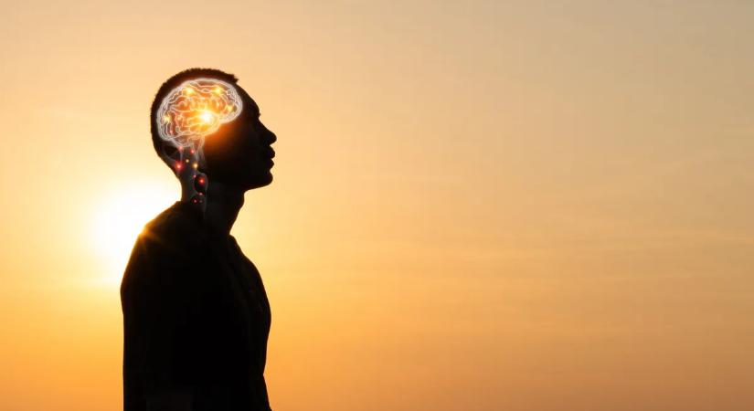 Átlátsz az embereken? Ez a frissítő nyári EQ-teszt felfedi, mennyire erős az érzelmi intelligenciád