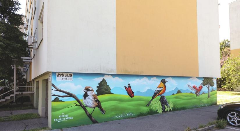Természet költözött a betonrengetegbe, elkészült Szeged új falfestménye