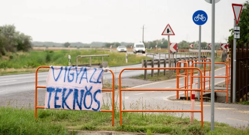 A faj fennmaradását is veszélyeztetheti a tömeges teknősgázolás Szeged mellett