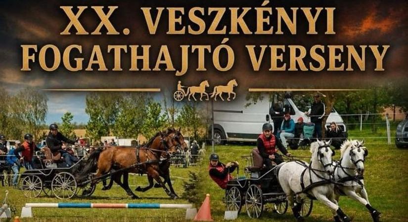 Ismét hajtják a fogatokat Veszkényben - Mutatjuk a teljes hétvégi programot