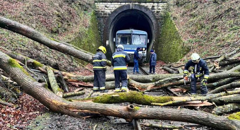Megszólalt a GYSEV a Bakonyban rekedt iskolások ügyében: ezért tartott órákig a fakidőlés elhárítása helyszíni fotó