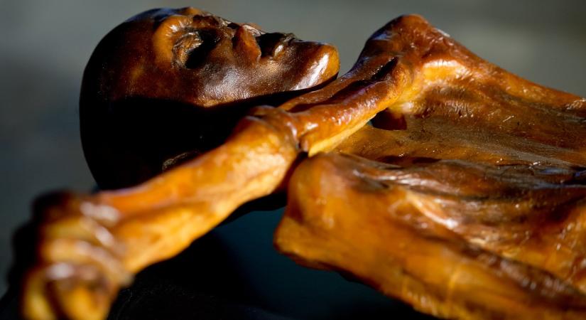 Életképes mikrobákat találtak Ötzi, a több mint 5 ezer éves jégember múmiájában