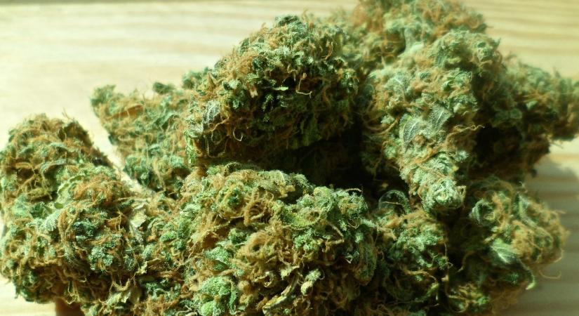 A kannabiszfogyasztás üldözésének ideje lejárt