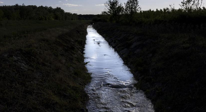 A Sebes-Körösön jelentős részt tisztított szennyvíz folyik, a Tisza nem hozza, hanem kiviszi a vizet