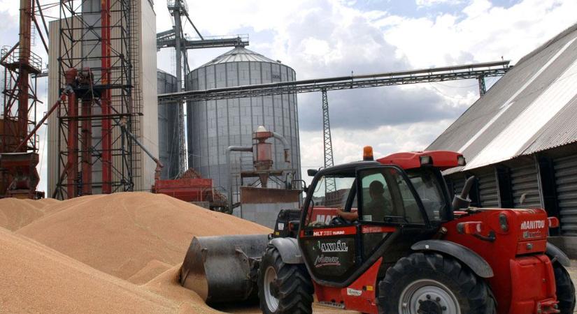 Kőkemény gabonaoffenzíva indult: sarokba szorulnak a magyar gazdák