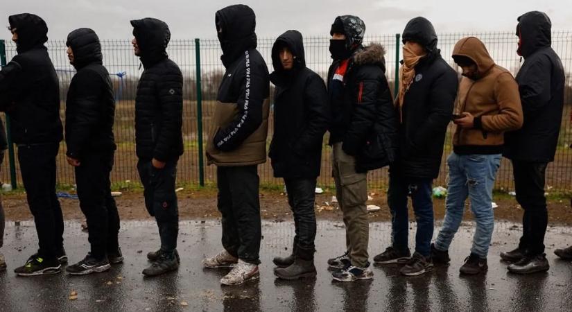 Súlyosan megbírságolták a migráns-nyelvvizsgákat szervező céget