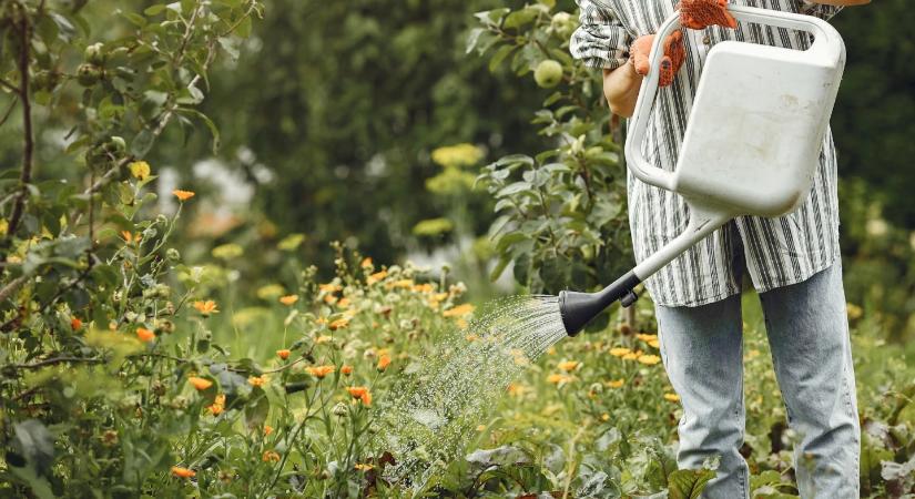 6 locsolási trükk, amivel spórolhatsz a nyári vízszámlán