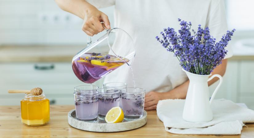 Így készíthetsz házi levendulaszörpöt: finomabb lesz, mint a bolti