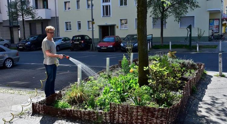 KÖZÖSSÉGI LOCSOLÁS – Segítség a fáknak