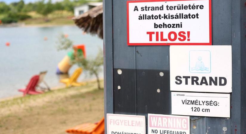 Nem csak a pontyok mozgolódtak: romantikus légyott nyomaira bukkantak a horgászok