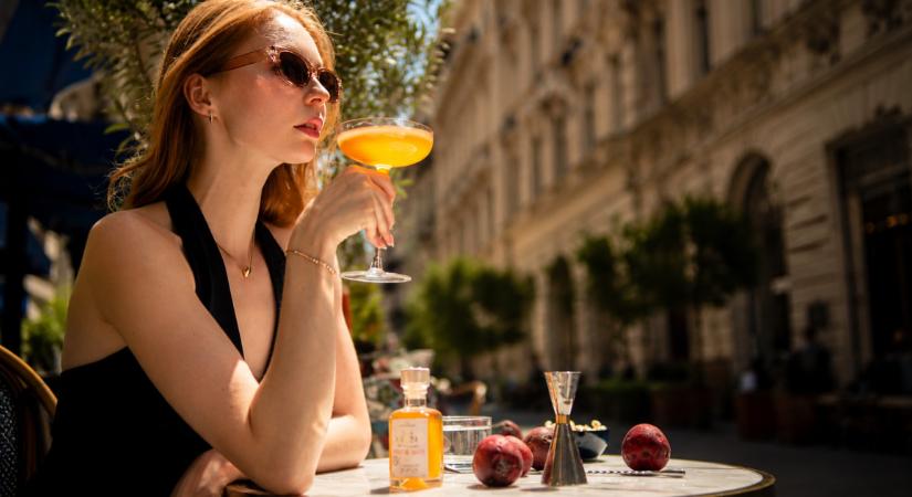 Palackba zárt álmok – Interjú Domonkos Ágival, a Mixology társalapítójával
