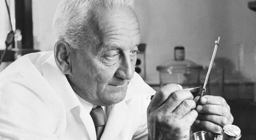 Képeken 7 magyar találmány, ami alapjaiban változtatta meg a világot – A C-vitamintól a „napházig”