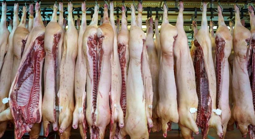 Mesterséges intelligencia segítheti a húsellenőrzést az EU-ban