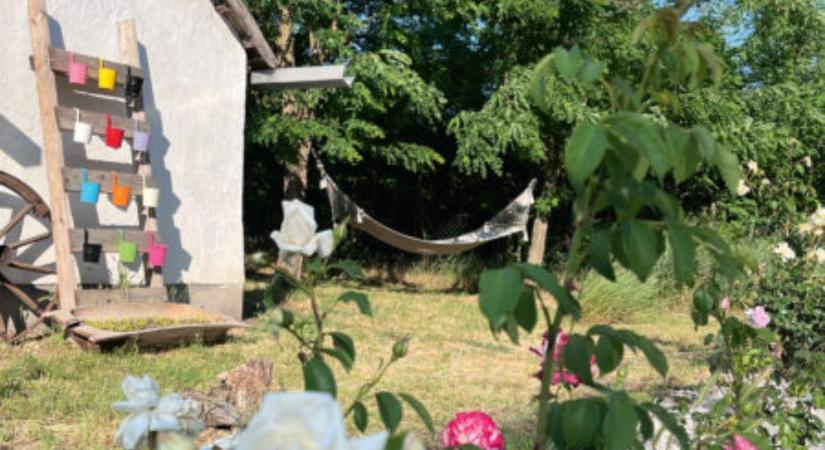 Élet a tanyán – Nyugalom a nyári nyüzsgésben