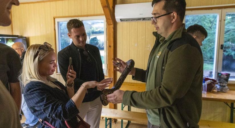 Zsiráfot etettünk, kígyót melengettünk az exkluzív élménybejáráson a debreceni állatkertben – fotókkal, videóval!