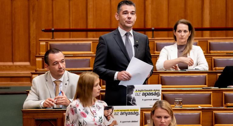 Magyar Péter már előkészíti a meleg párok örökbefogadását a Mi Hazánk politikusa szerint