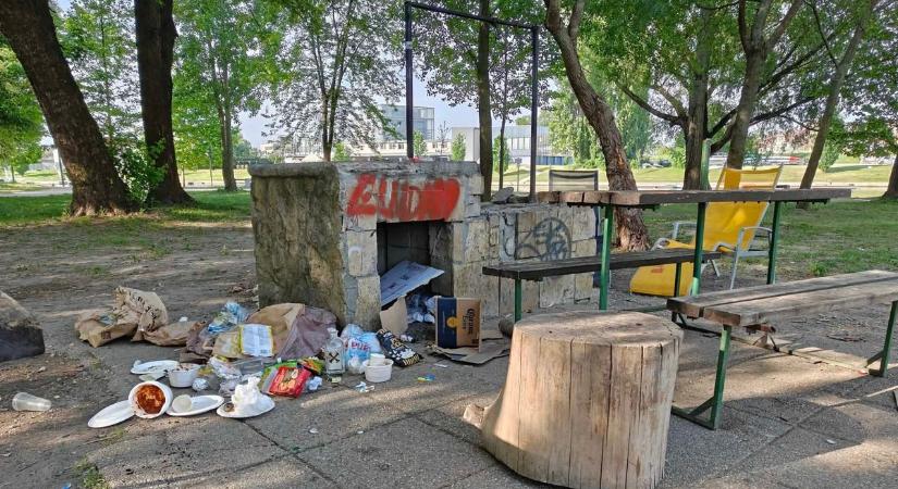Grillkolbász - Avagy bűzös szemét a Püspökerdőben, üvegszilánkok az Aranyparton - fotó