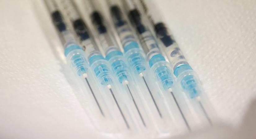 Parazitaellenes vakcinát fejlesztenek magyar kutatók