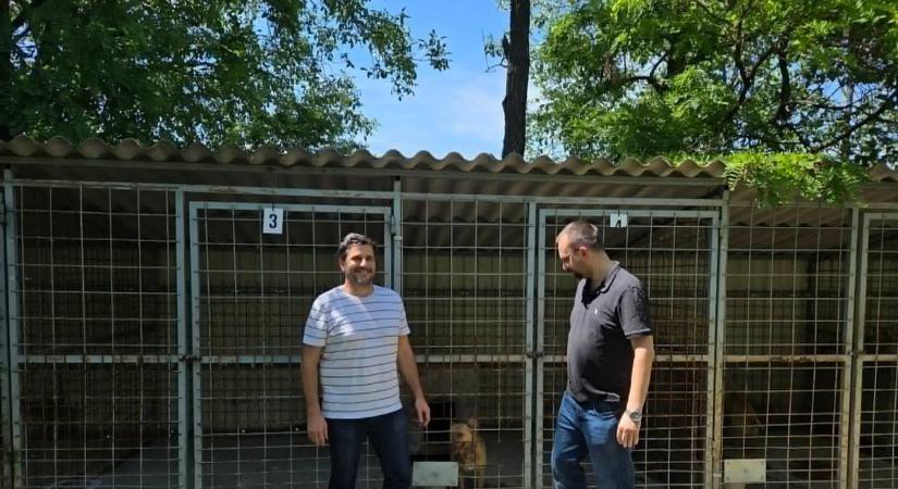 Két autónyi adomány érkezett a makói telepre gimnazistáktól, a gyepmester is meglepődött rajta