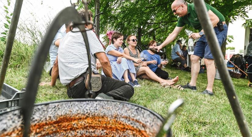 Nem kell nyaraló a közös sütögetéshez – Debrecen legjobb erdei tűzrakóhelyei várnak!