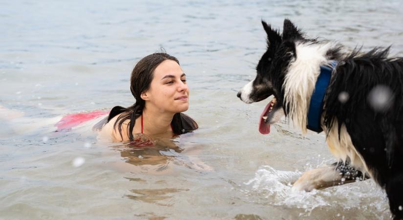 Csobbanás a kutyával: minden, amit a kedvencünkkel való úszásról és a biztonságos strandolásról tudni kell