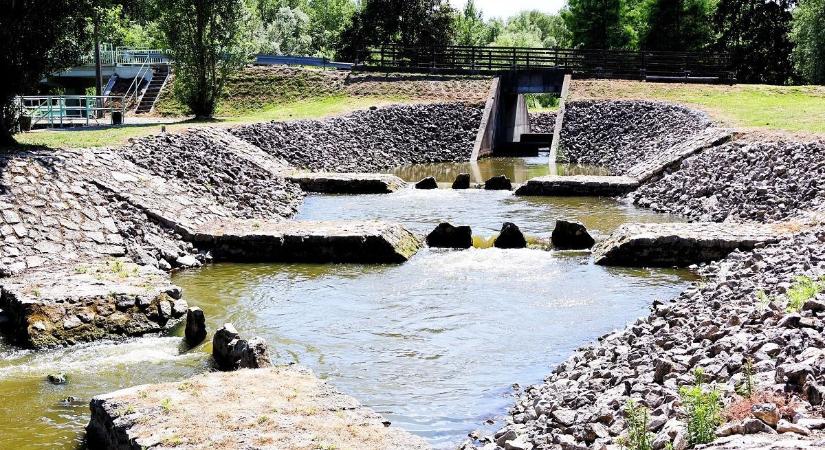 A Kis-Balaton titkai – mire szolgálnak a hallépcsők? (galéria)