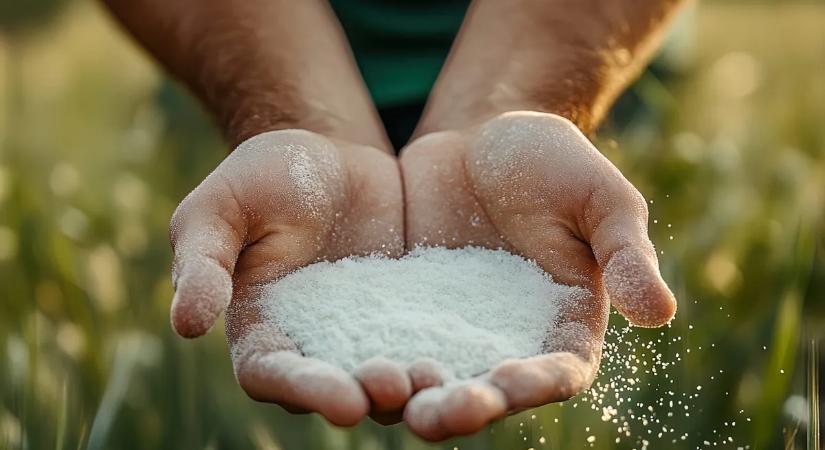 Szórj cukrot a kertbe, és meglepő változást tapasztalhatsz