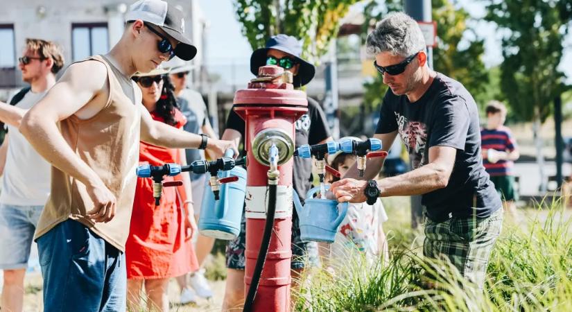 Kannára fel! – idén is a civilek segítségét kérik a fiatal fák locsolásához