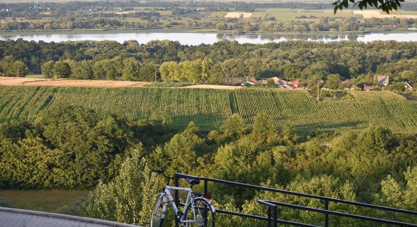 Sztárdömping és az év legizgalmasabb borpiknikje vár a Kis-Balatonnál