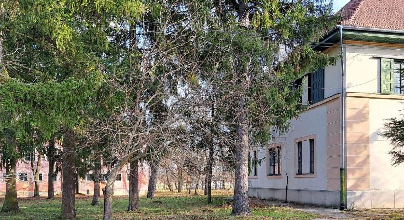 A Széchenyi István Egyetem tájékoztatása a vitnyéd-csermajori ingatlannal kapcsolatban