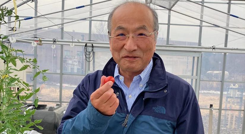 Ebből a paradicsomból egyetlen szem is csökkenti a magas vérnyomást – a génszerkesztés japán úttörőjével beszélgettünk