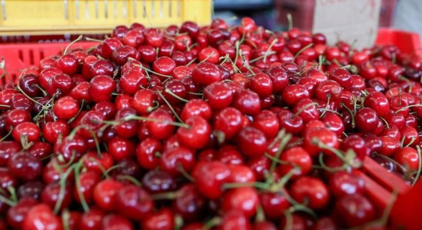 Lenyeltél egy cseresznye vagy meggymagot? Mutatjuk, mi történik a szervezetben