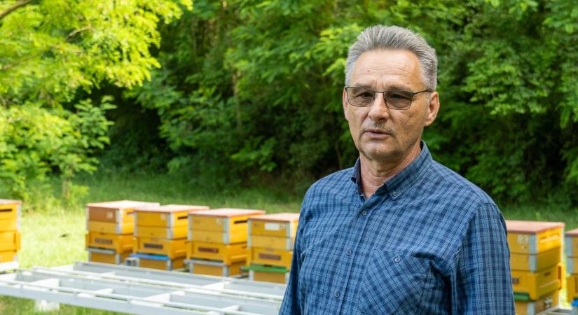 Nagyapjától tanulta a méhészetet, fél évszázada valódi mézet tesz az asztalra
