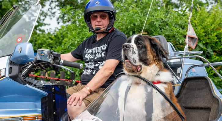 Motorral száguldó bernáthegyi az internet új sztárja