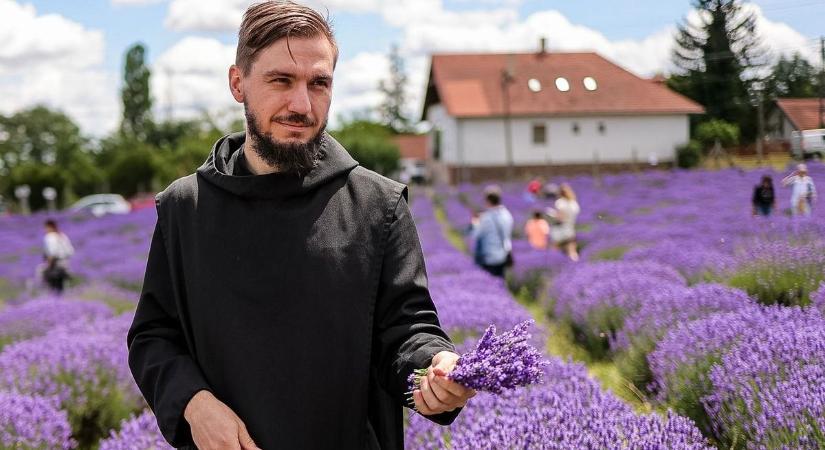 Ezt készítse pannonhalmi levendulából, szerzetes adott tippeket – Videó, XXL galéria