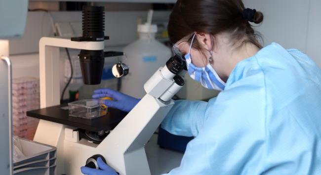 Az ukrajnai biológiai laboratóriumok kizárólag a közegészségügy erősítését szolgálják – Külügyminisztérium