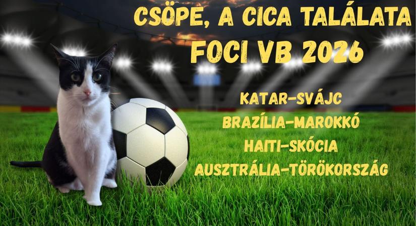 Csöpe, a cica találata: mutatjuk a vb harmadik napjának eredményeit! – videó