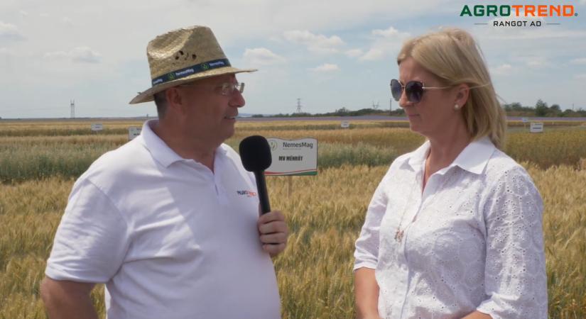 Martonvásári Országos Kalászos Szakmai Nap – Tamas Margit interjú