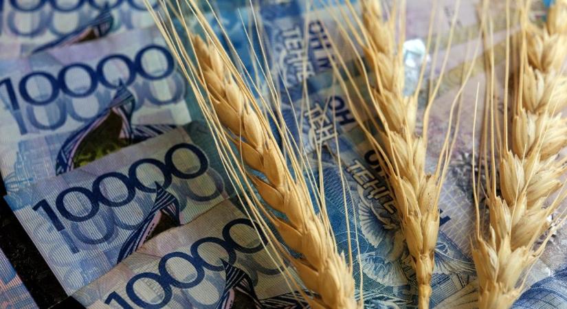 Kevesebb búza juthat el az olasz piacra ázsiai konkurensünktől