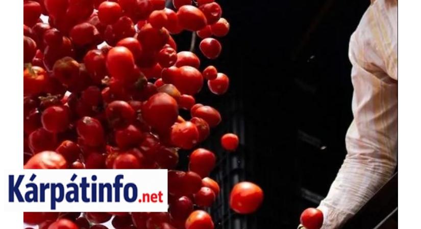 Mutatunk egy italt, amely elfojtja a gyulladásokat