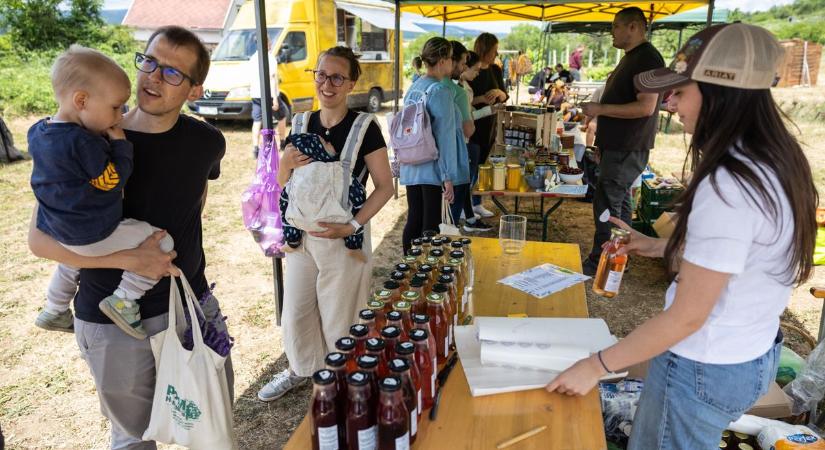 Lila illatba borult Bajna – levendulafesztivált rendeztek a Hegyi Herbakertben