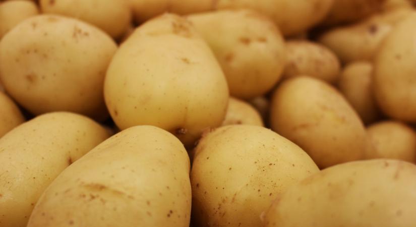 Egyre drágább a tavalyi burgonya Ukrajnában