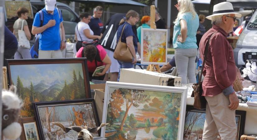 Kincskeresők a Nagyerdőn: ismét megrendezték a debreceni régiségvásárt – fotókkal, videóval