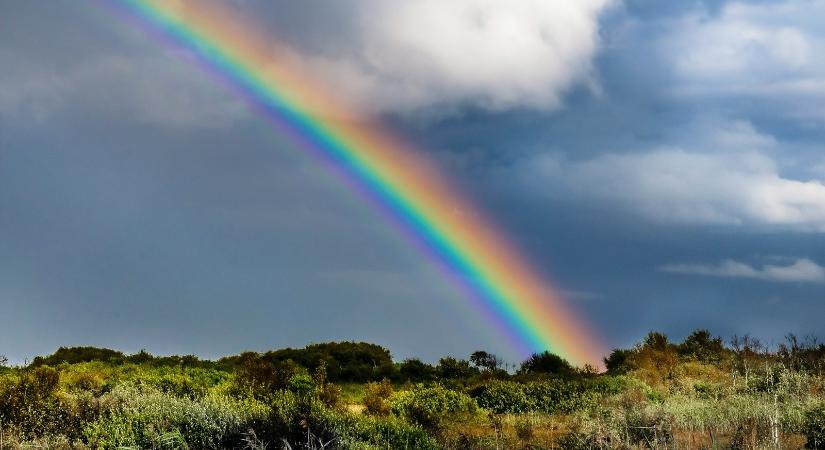 A Bitcoin Rainbow Chart szerint ennyi lehet a BTC értéke július 1-jén