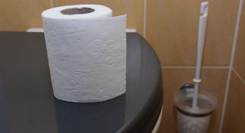 Németországban még erre is van szabvány – WC-teszt, ami egészen abszurd