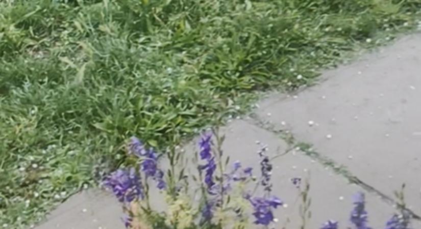 Lecsapott a jégvihar Lábod és környékére - további viharok várhatóak