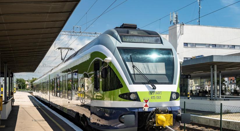 Kidőlt fa akadályozza a forgalmat Baja és Pörböly között