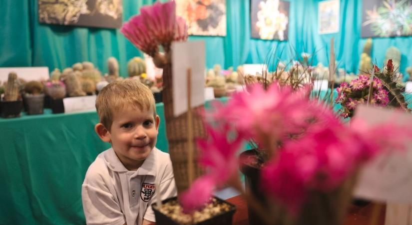 Tövises csodák lepték el a Szirmay-kastélyt: ismét nagy sikert aratott a Botanica Exotica - fotók, videó