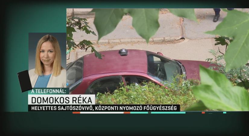 Videón, ahogy a rendőrök megütik, megrúgják az ámokfutó sofőrt Budán